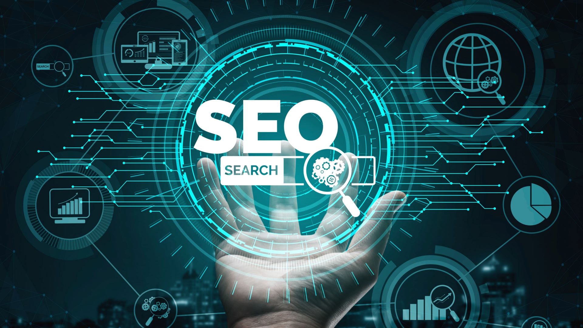 seo search